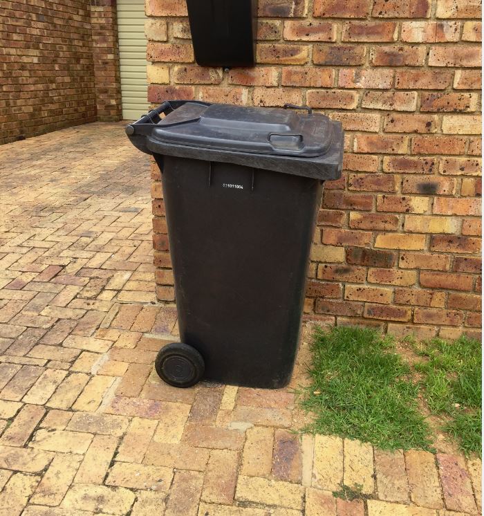 Dustbin Protocol Tokara Online